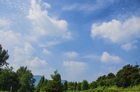 ǧɽ�Դ�µ���ľ���������