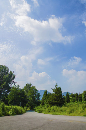 ǧɽ�Դ��·�ߵ���ľ���������