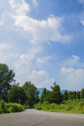 ǧɽ�Դ��·�ߵ���ľ���������