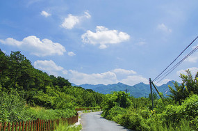 ǧɽ�Դ��·����ľ������