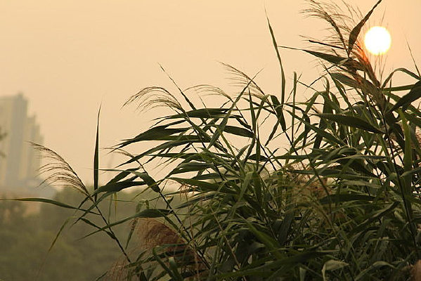 �峿�������