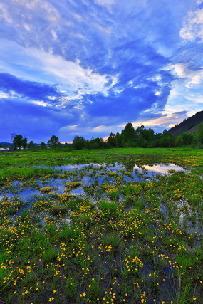 ʪ����Ȼ�������