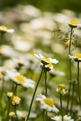 ��д�ն��ջ�