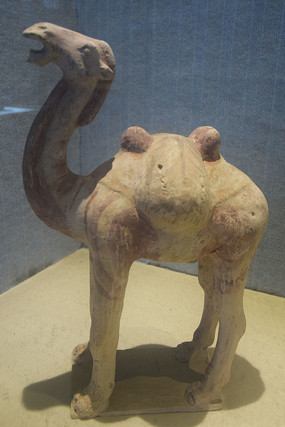 �������ﶯ���մ�