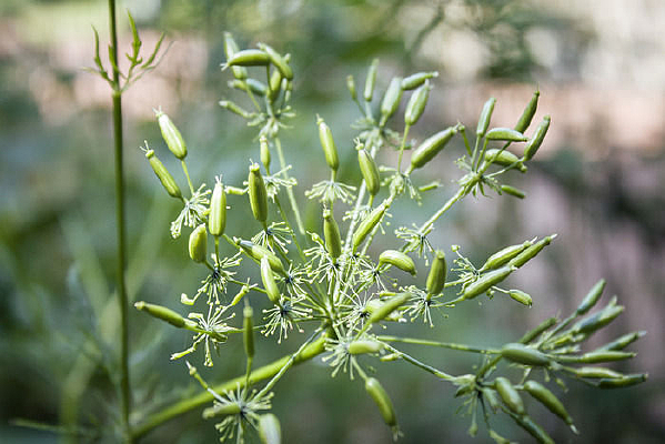 һ�ش��̵Ļ���