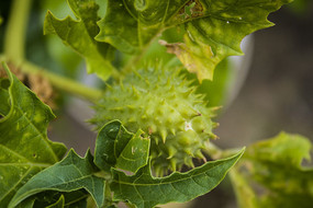 һ�Ŵ��̵Ĺ�ʵ