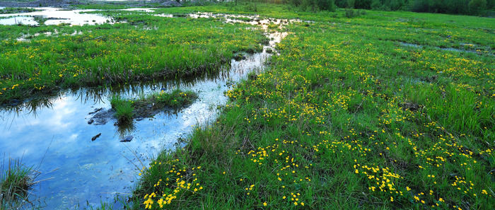 ����Ұ��