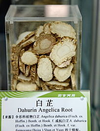 ��ҩ�İ���