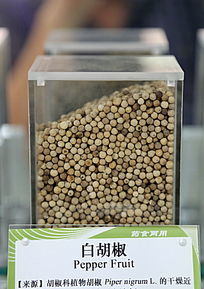 ��ҩ�İ׺���