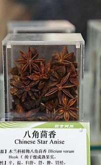 ��ҩ�İ˽�����