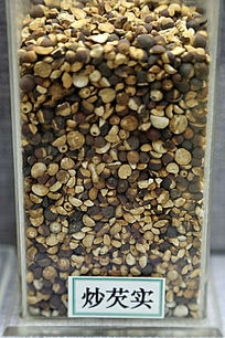 ��ҩ�ĳ���ʵ