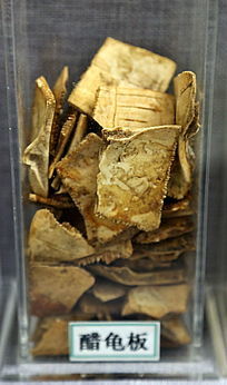 ��ҩ�Ĵ׹��