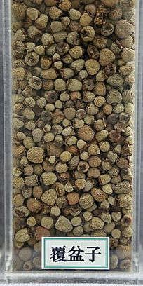 ��ҩ�ĸ�����