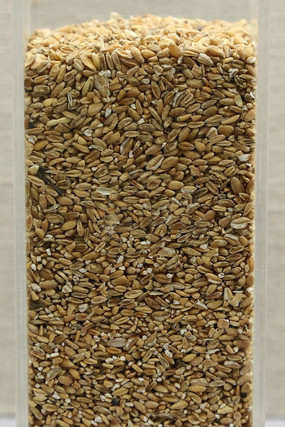 ��ҩ�ĸ�С��