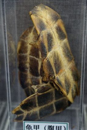 ��ҩ�Ĺ�׸���