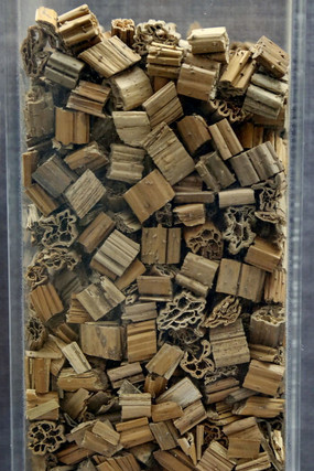 ��ҩ�ĺɹ���