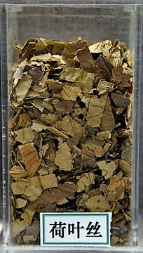 ��ҩ�ĺ�Ҷ˿