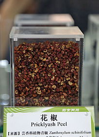 ��ҩ�Ļ���