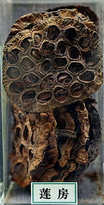 ��ҩ������