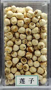 ��ҩ������