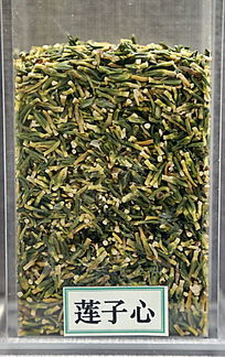 ��ҩ��������