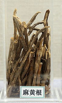 ��ҩ����Ƹ�