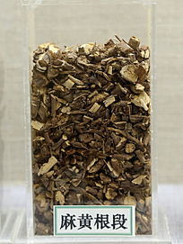 ��ҩ����Ƹ���