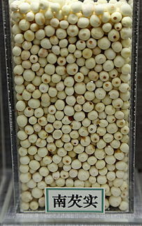 ��ҩ������ʵ