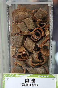 ��ҩ�����