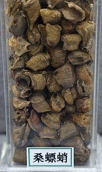 ��ҩ��ɣ���