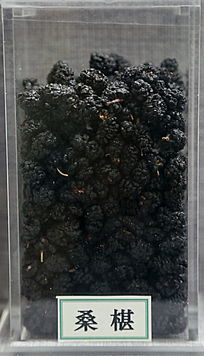 ��ҩ��ɣ��