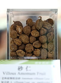 ��ҩ��ɰ��