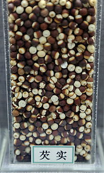 ��ҩ����ʵ