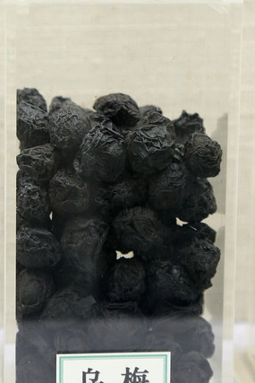 ��ҩ����÷