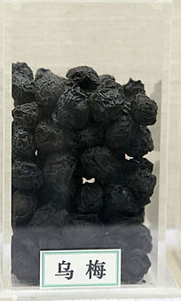 ��ҩ����÷