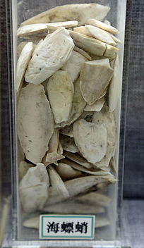 ��ҩ��С�����