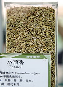 ��ҩ��С����ҩʳ����