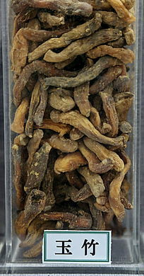 ��ҩ������