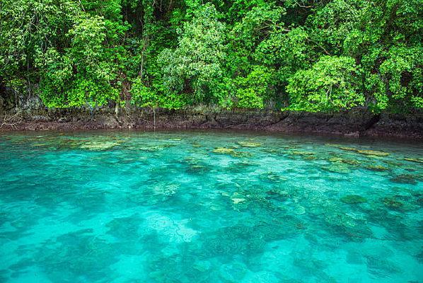 �����ĺ�ˮ