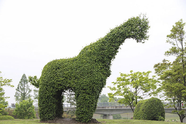 ����¹����԰��