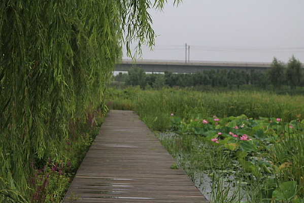 �����۾��źɻ�