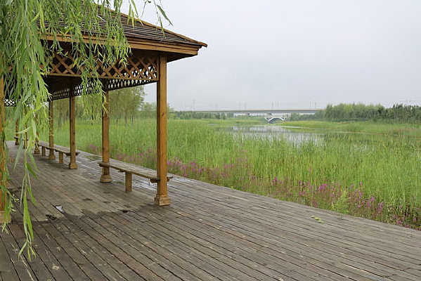 ��ͤ�봹��