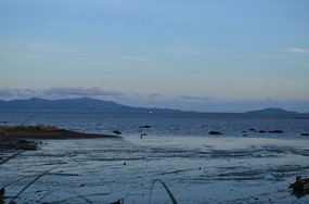 ������ƺ�̲�羰ͼƬ