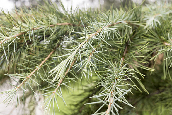 �λ��������