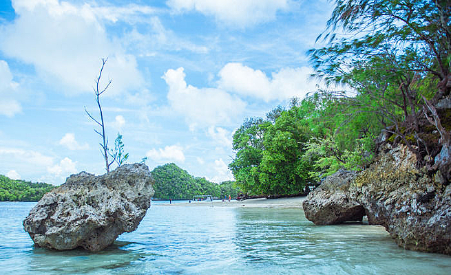 ���͵ı̺�����