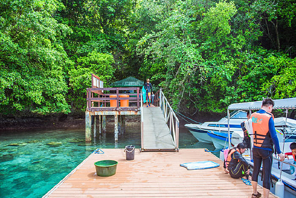 ����ˮĸ�����