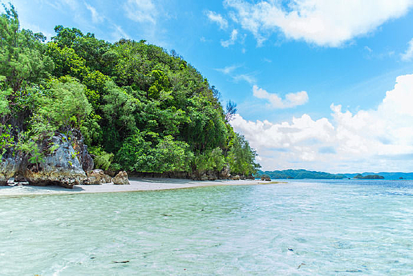 �������˵����