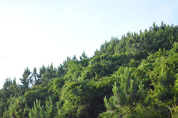 ��ɽ������շ羰ͼƬ