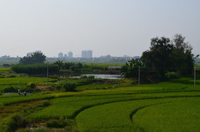 ��Ұ����羰ͼƬ