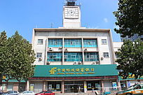 Ϋ������